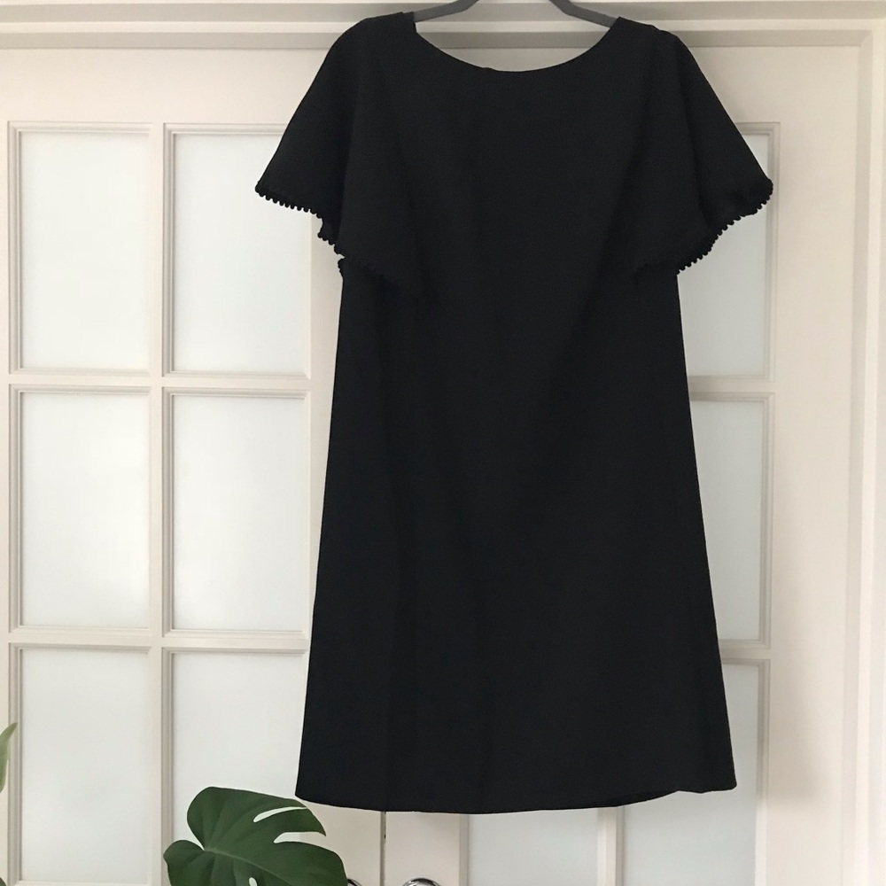 NWT Loft shift dress